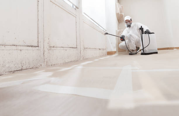 24/7 Emergency Commercial Mold Remediation experts in Butler, PA